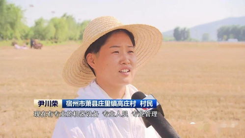 安徽 農機社會化服務助力夏收提速提質，技術推廣是關鍵